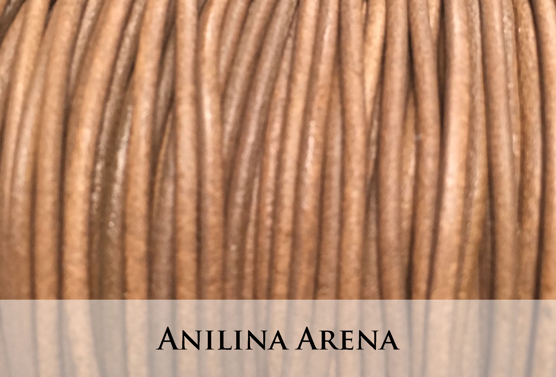 Anilina Arena
