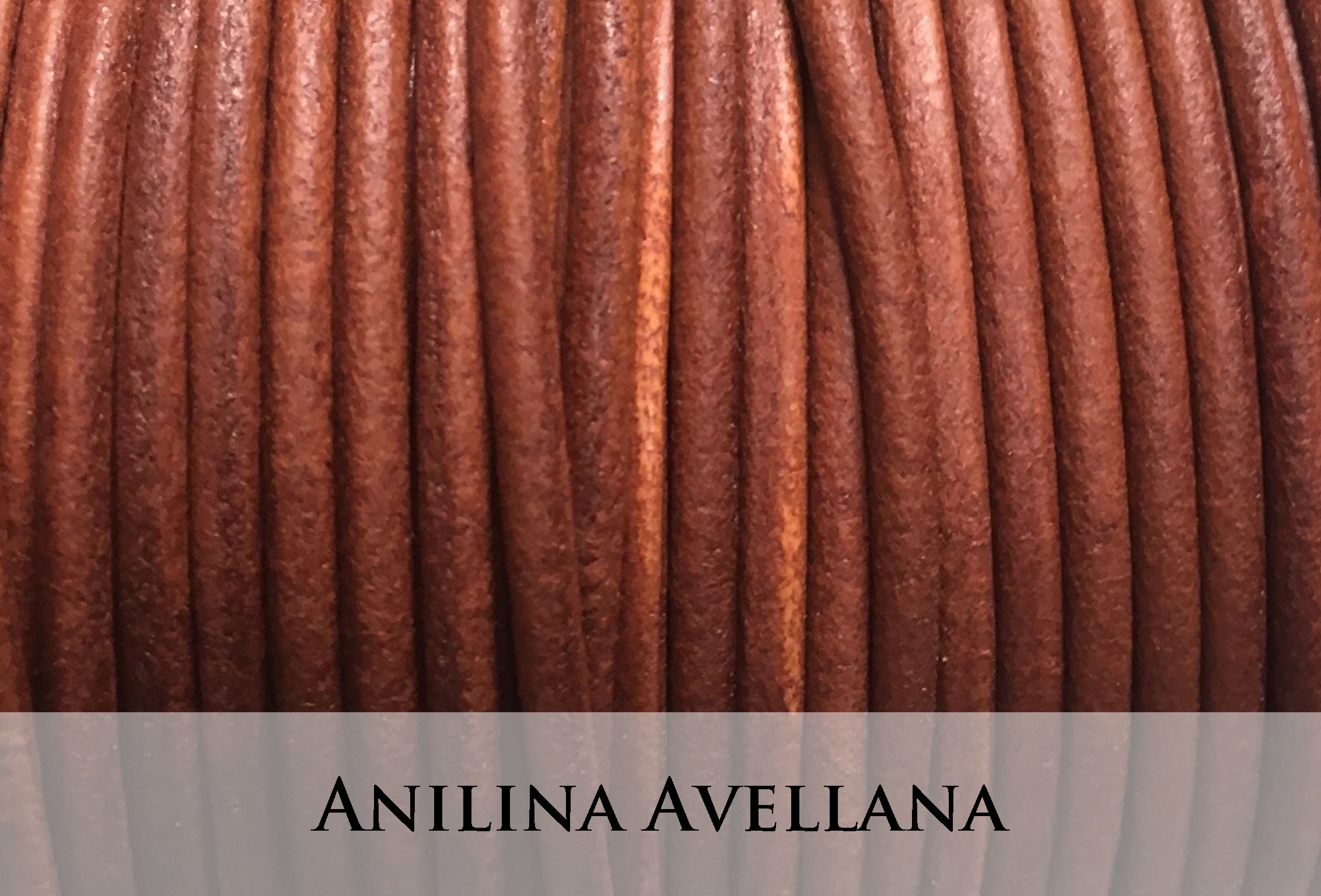 Anilina Avellana