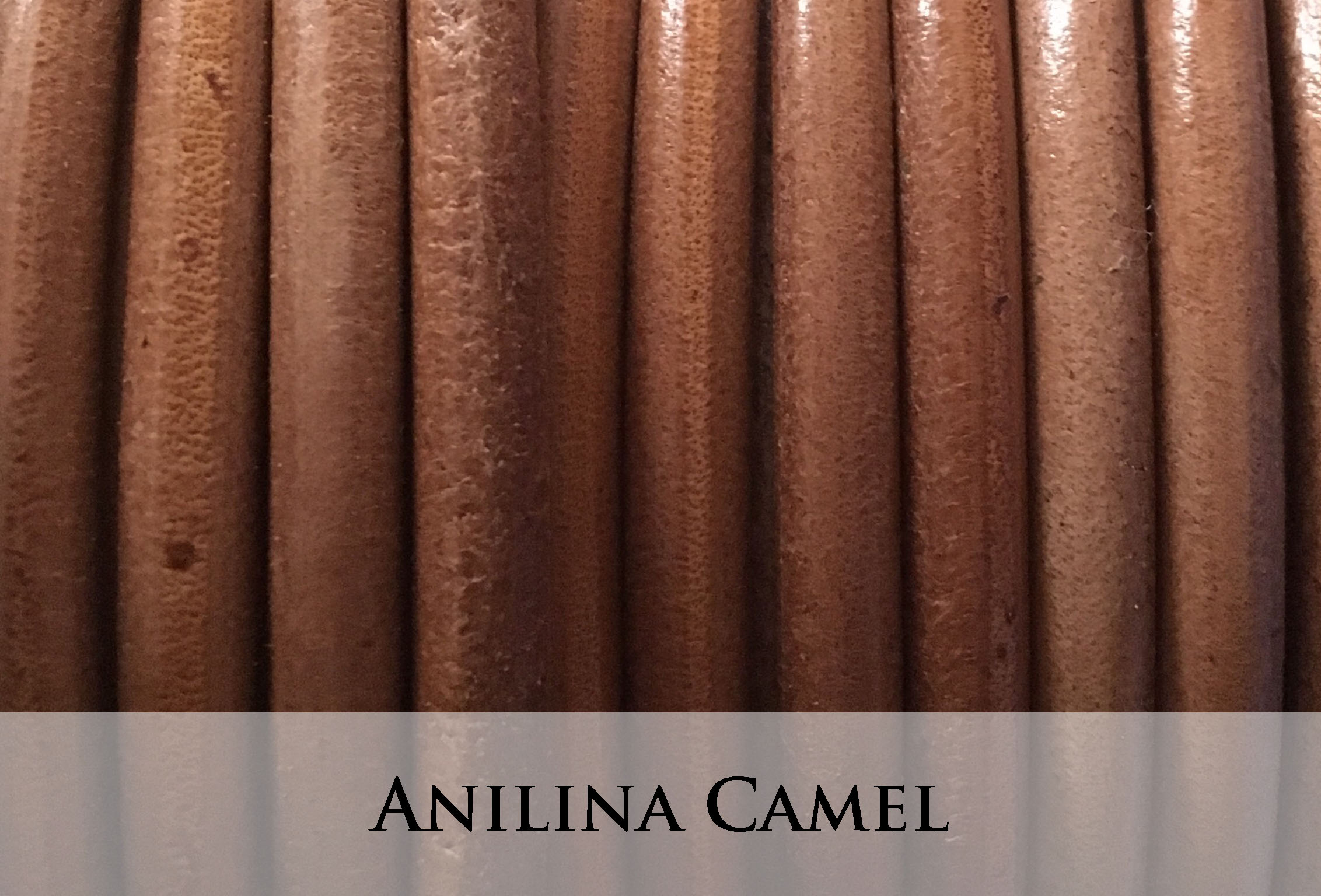 Anilina Camel